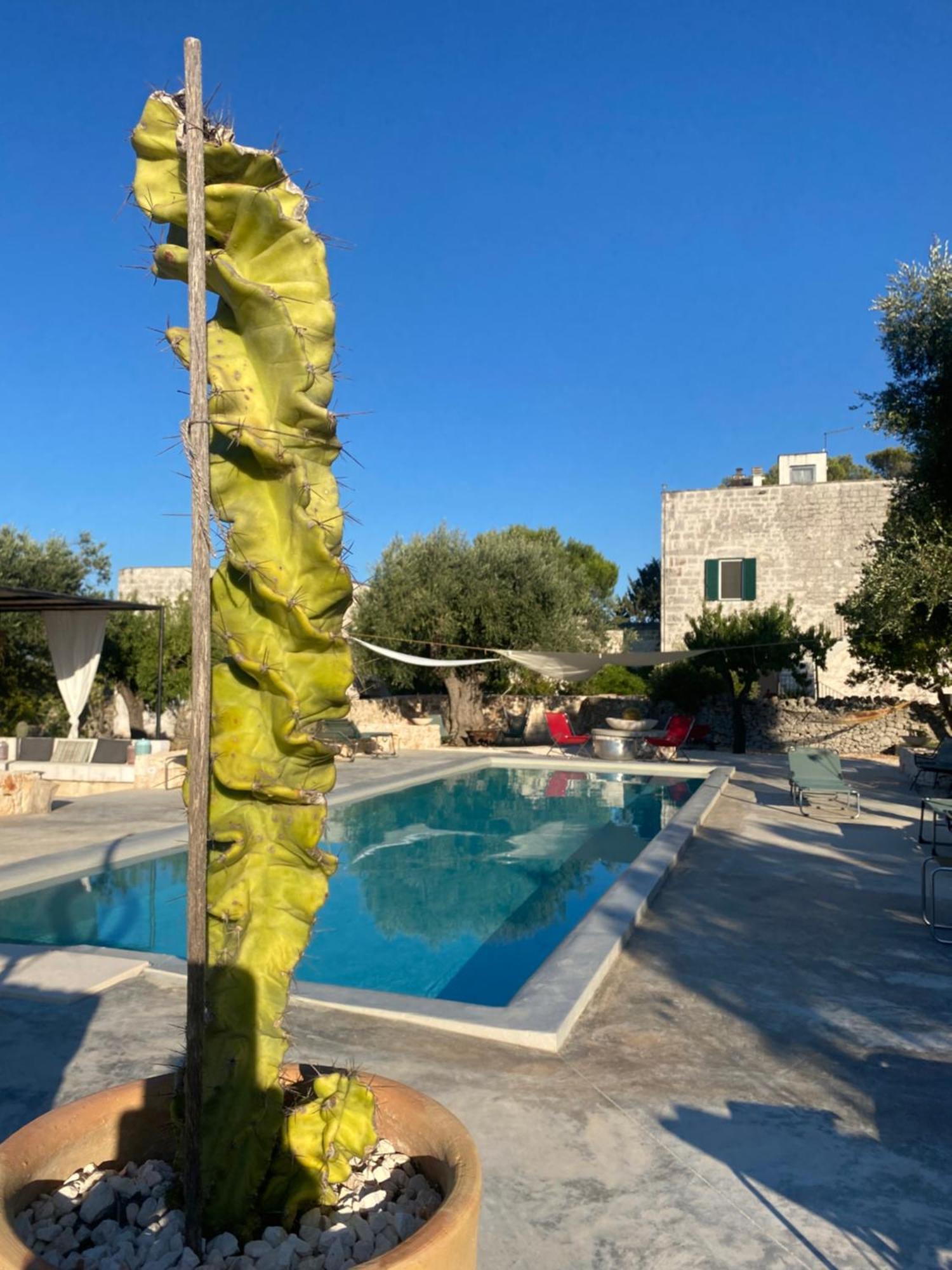 Masseria Serafino Ostuni Esterno foto