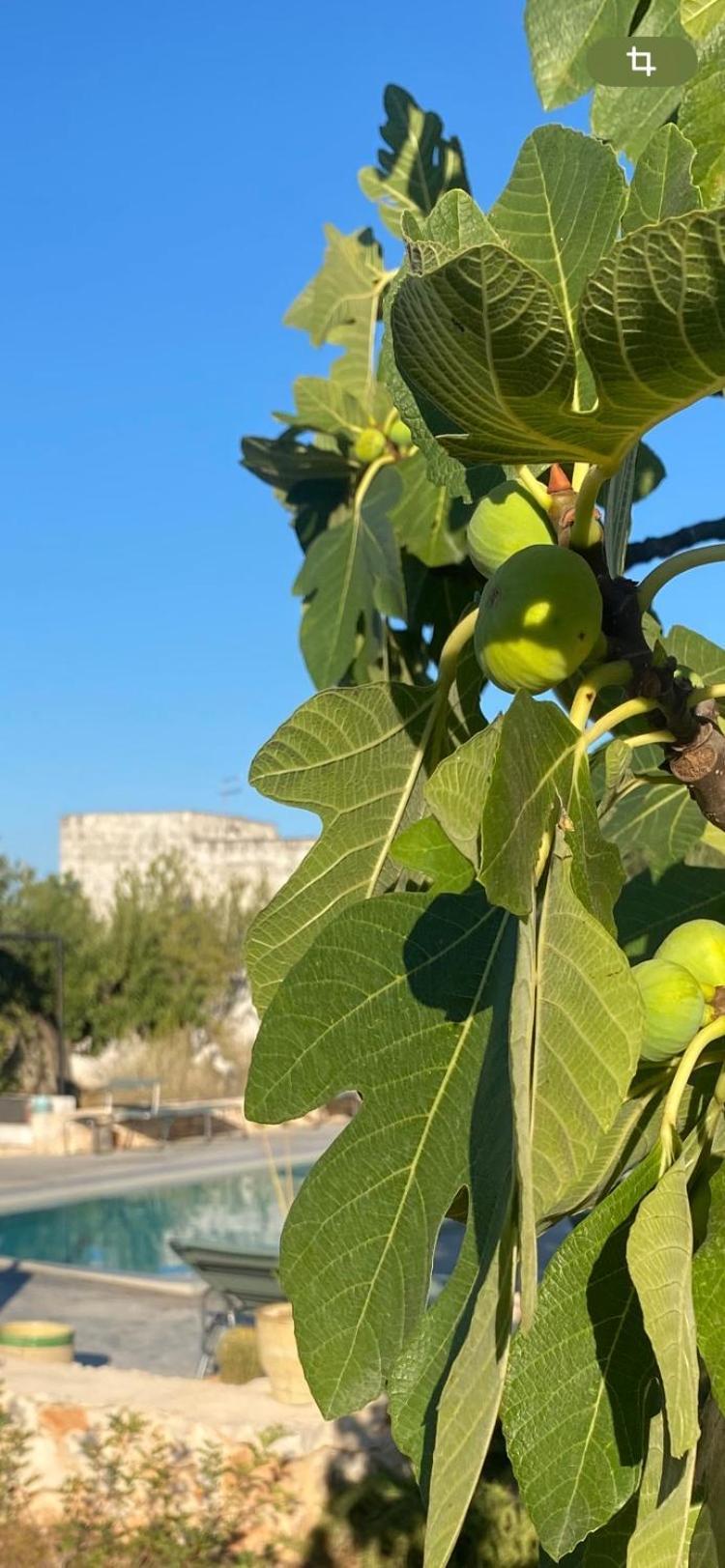 Masseria Serafino Ostuni Esterno foto